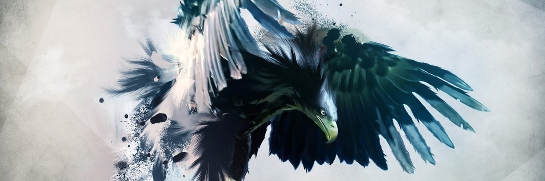 Aaronsheir's profile banner image