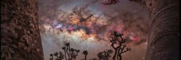 ztyuiottio's profile banner image
