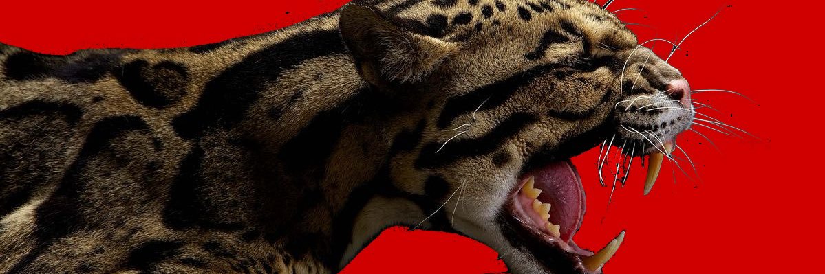 amari banner