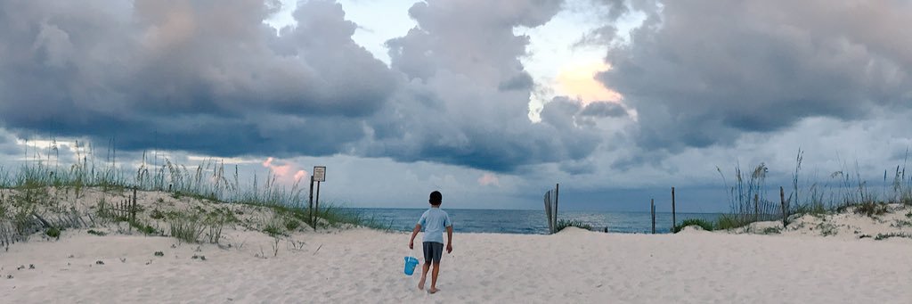 Rebecca Donze banner