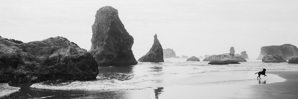 SkiAbbe's profile banner image