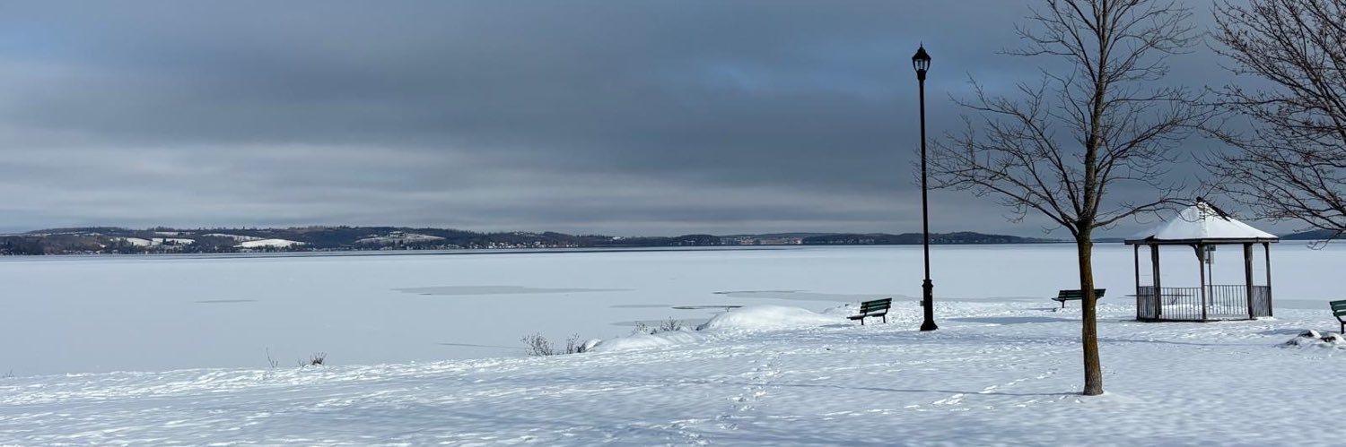 meanoldmanRelik's profile banner image