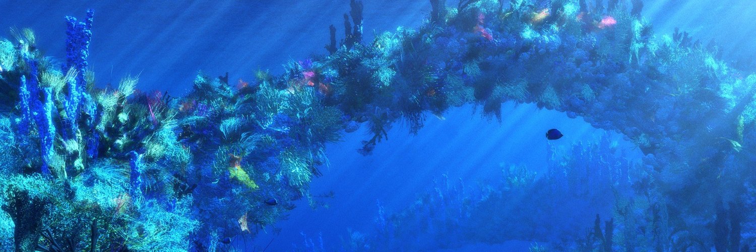 ⋆｡‧˚ʚ Ari of shedtwt🍒ɞ˚‧｡⋆ banner