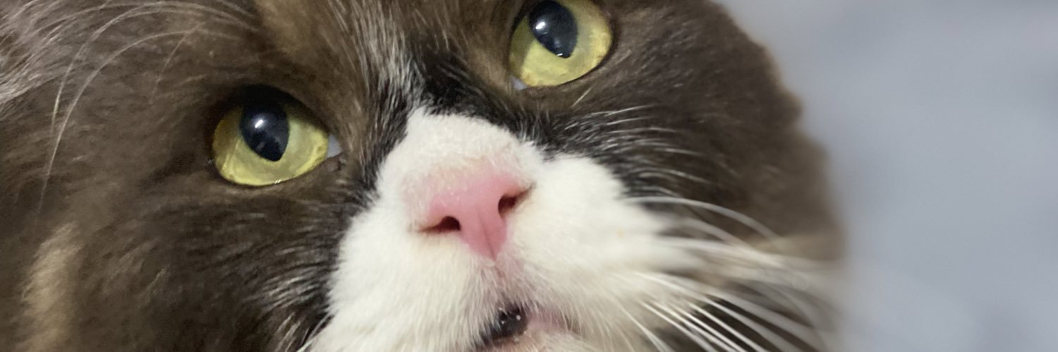 puteriyasmeen's profile banner image