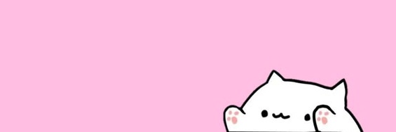 kitty banner
