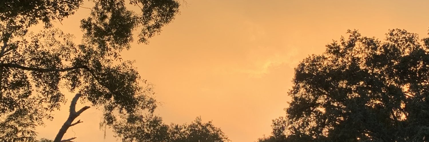 MissCJT's profile banner image