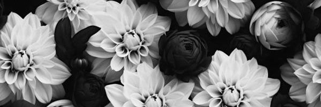 Brazgoth Leonard banner