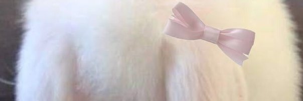 Cook Pollard banner