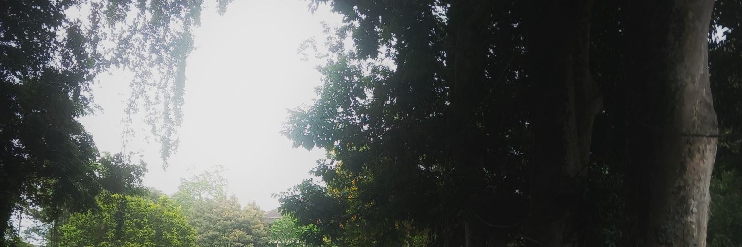 lail banner