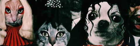 sofipolv's profile banner image