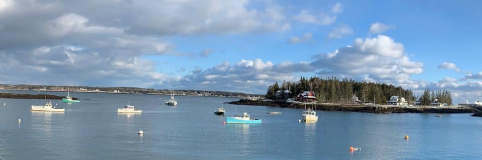 Elaine S. Povich banner