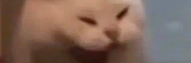 Gòng Bếu 🐲 banner