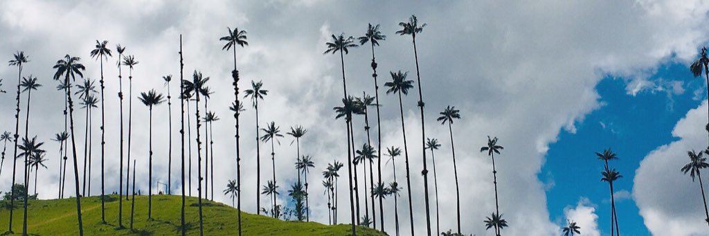 LaylaMay's profile banner image