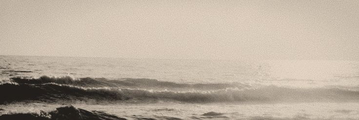 SEANTERO DIKARYAHADI. banner