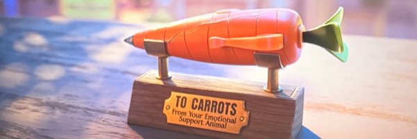 zoookamn Profile Banner