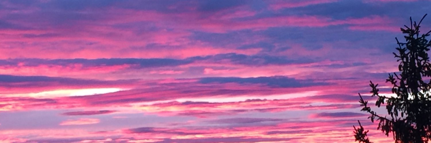 Tor Eigil Hodne banner