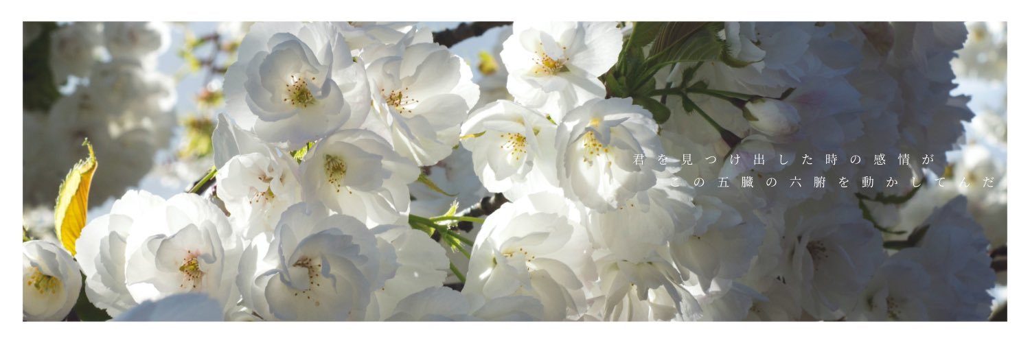 せつ@ﾋﾟｸﾘｴ▷5/3~5 banner