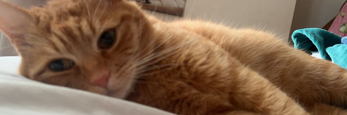 Ferdiggtry's profile banner image