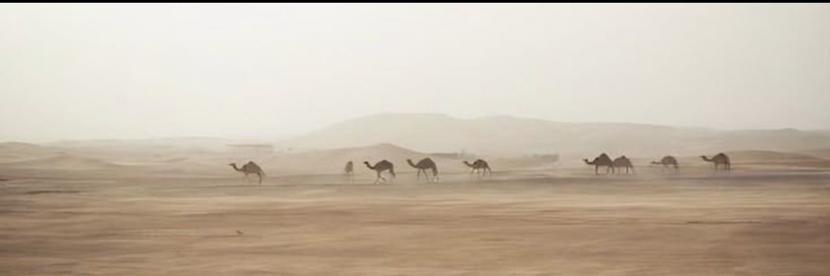 سِيـن banner