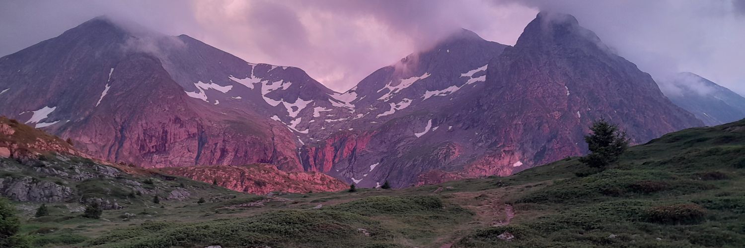 anis banner