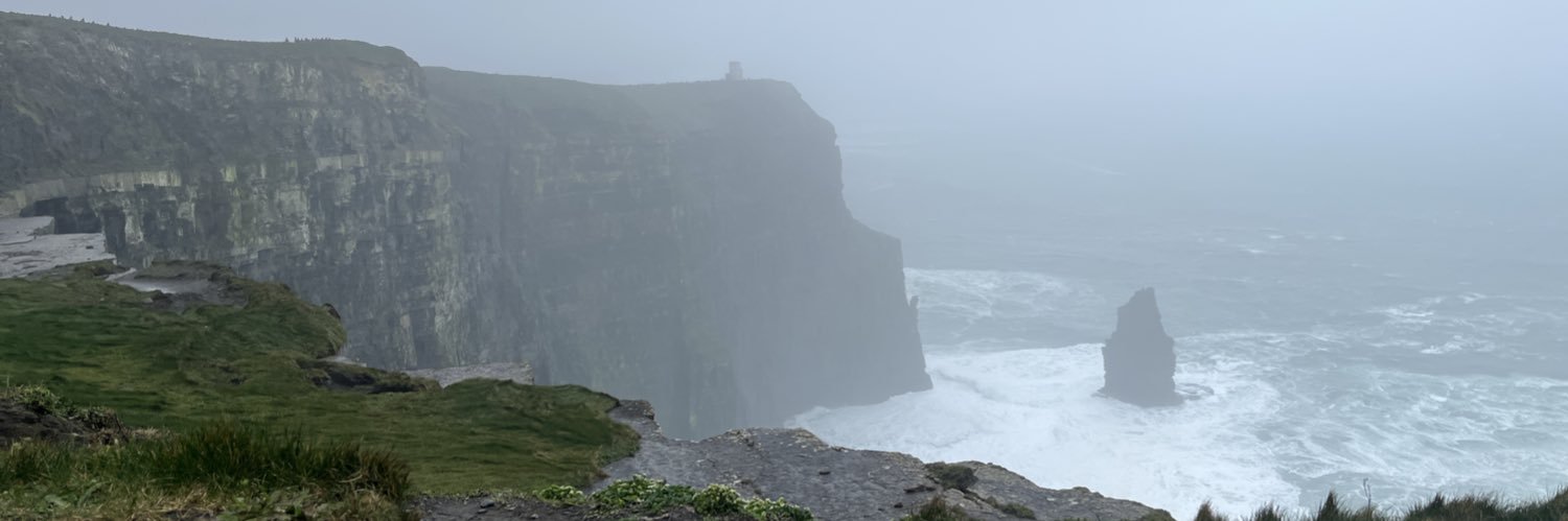 Cherry 🌸🍒 -0/41lbs banner