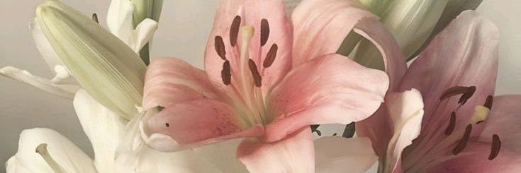 Ruba banner