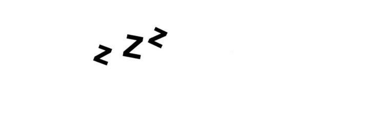 nellekittyy's profile banner image