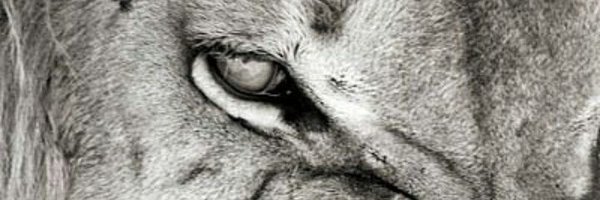 loudji22 Profile Banner