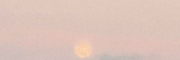 JERiddell Profile Banner