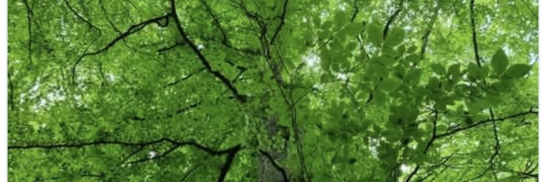 JERiddell's profile banner image