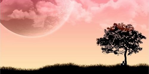 Sofirizzi's profile banner image