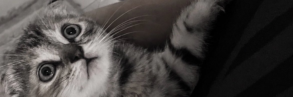 7wsmx's profile banner image
