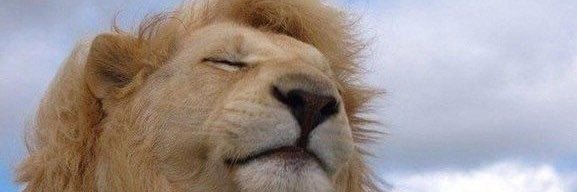 Алмаз Алимбеков banner