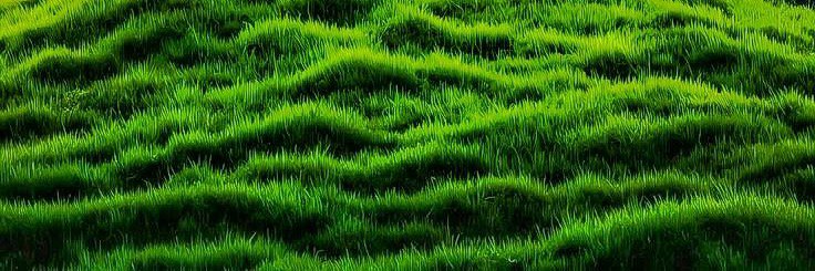orajerrj95's profile banner image