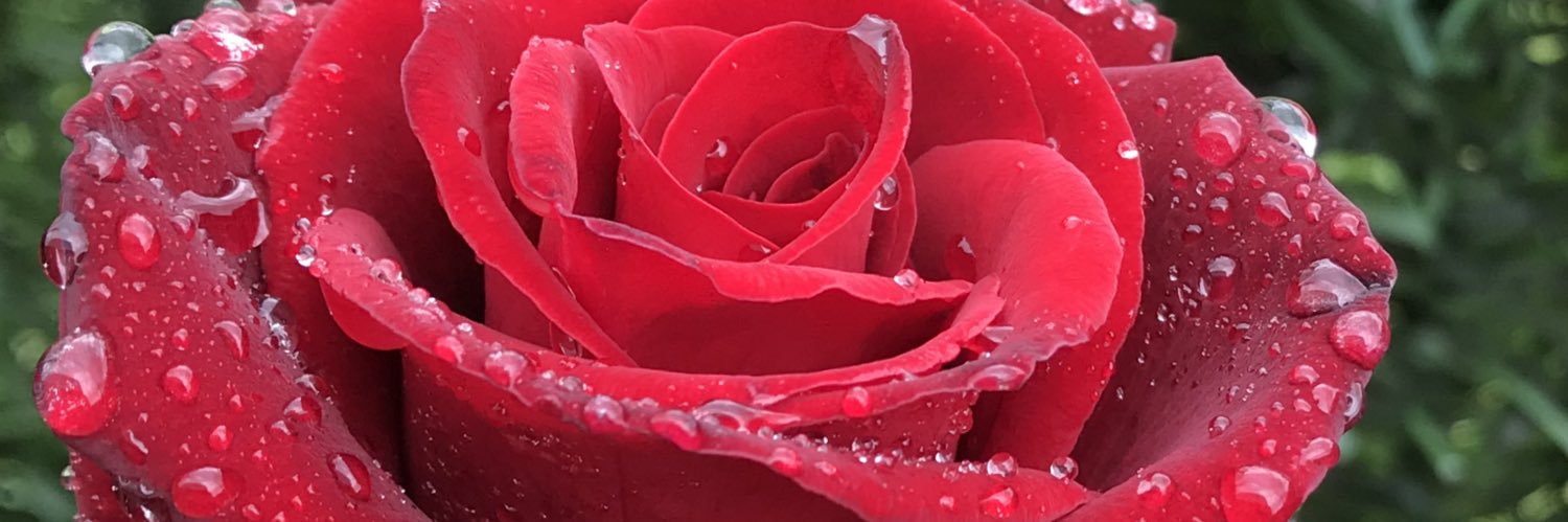 sgt2019's profile banner image