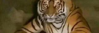 selocaann19's profile banner image