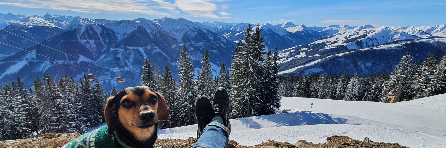 WaxyOLir's profile banner image