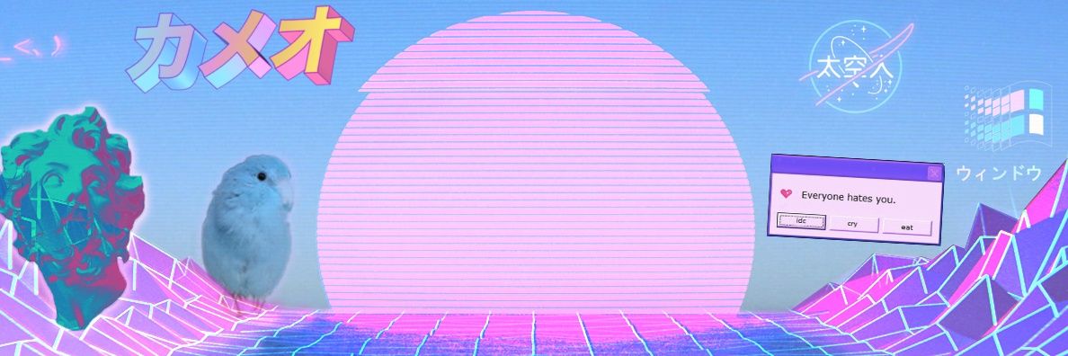 enesiindibi's profile banner image