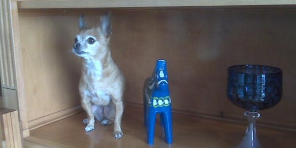 MelodyDerloshon's profile banner image