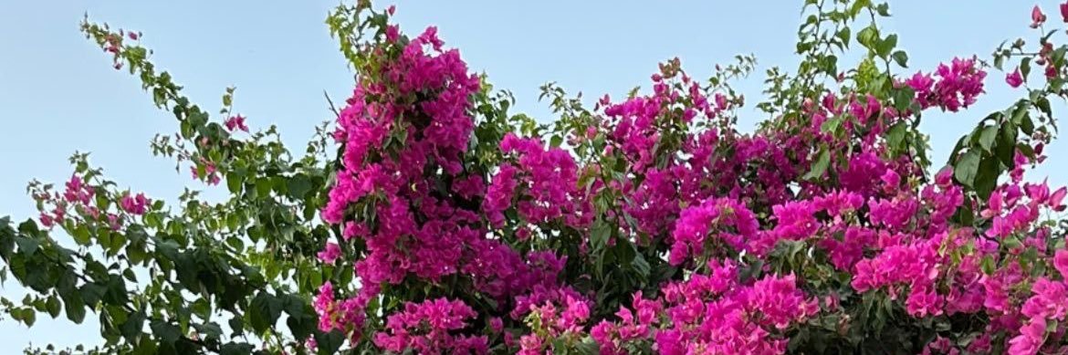 talabrymatt's profile banner image