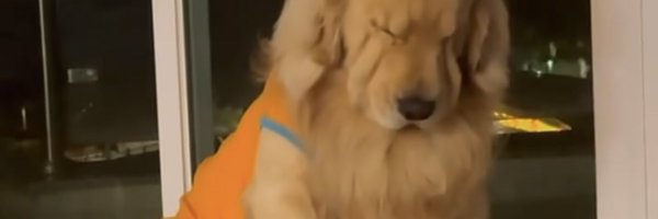 Mahaxaeo Profile Banner