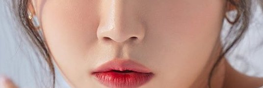 Oshima Wolfe banner