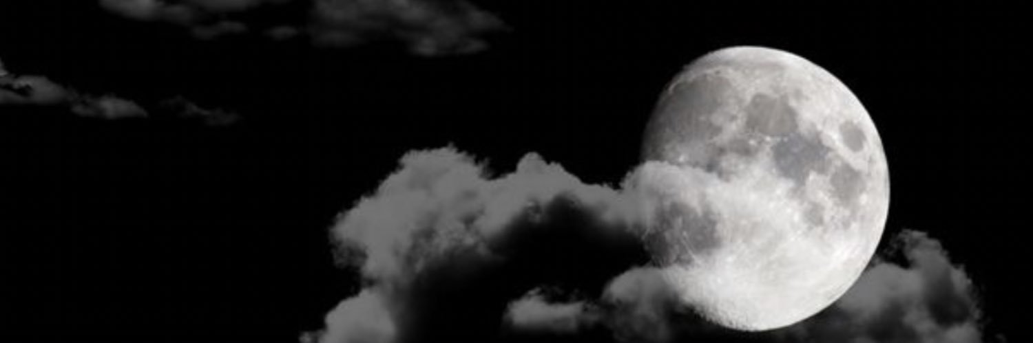sallyb1's profile banner image
