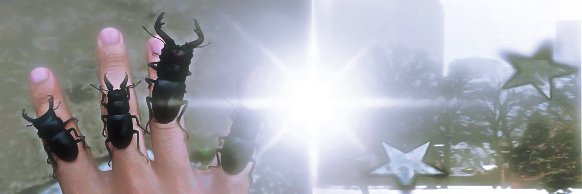 jadeeee ˙𐃷˙ banner