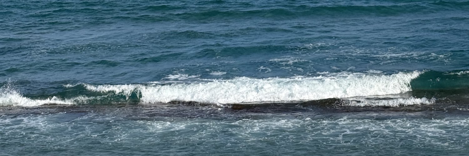 Why Am I a Leafs Fan? banner