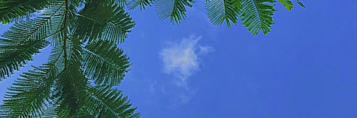 lulualine's profile banner image