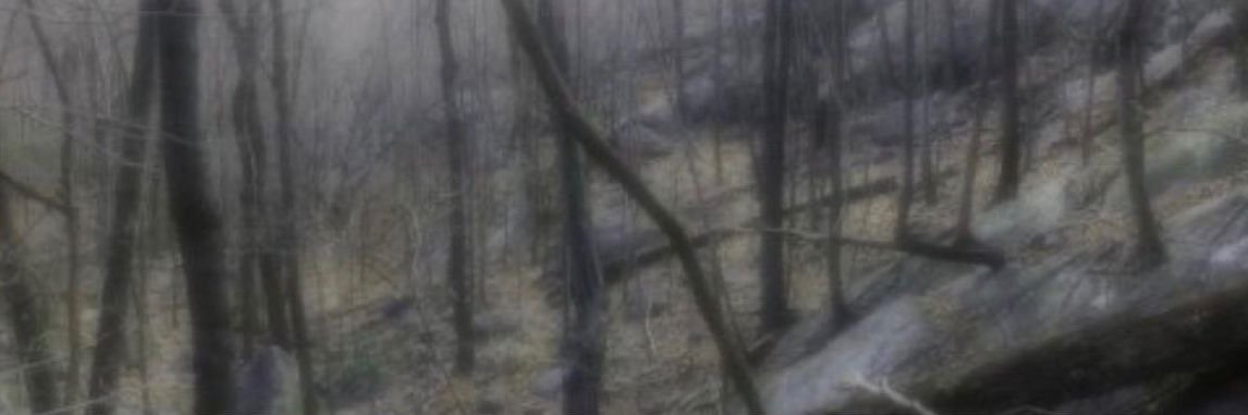 emogarfiel's profile banner image
