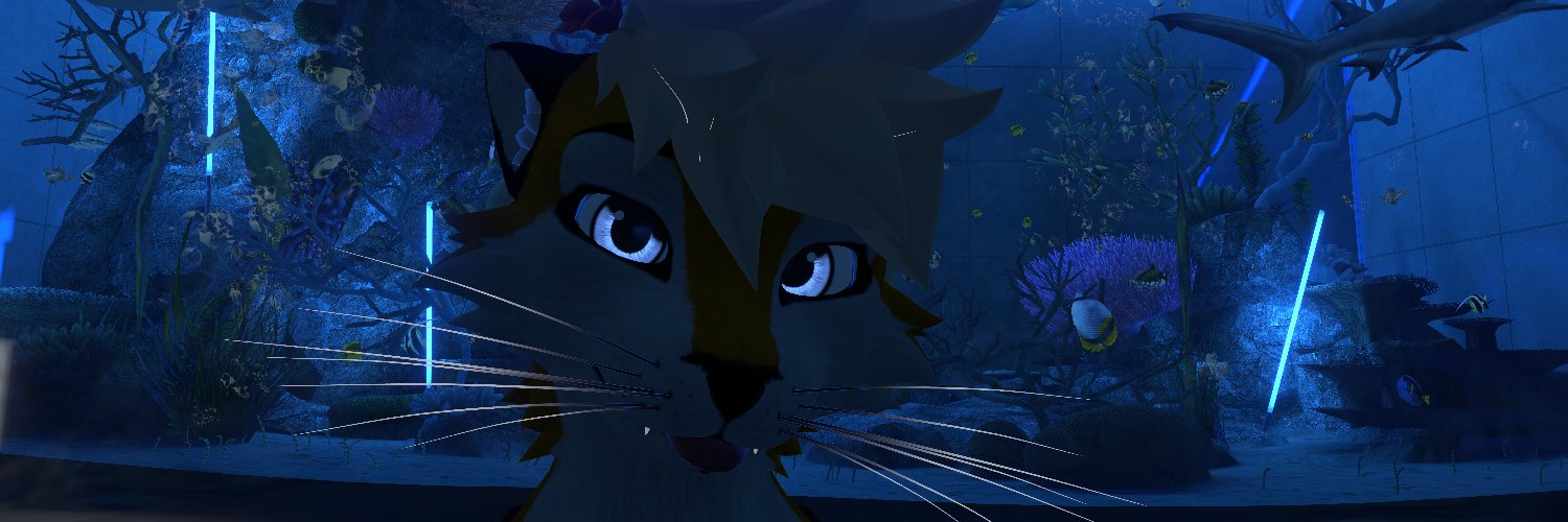 VanixTheFox's profile banner image