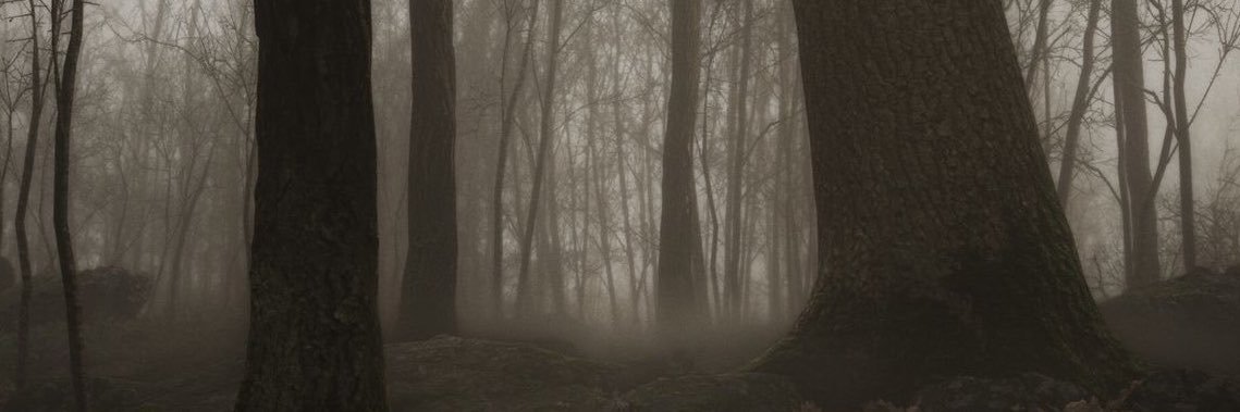 ciarathedral's profile banner image