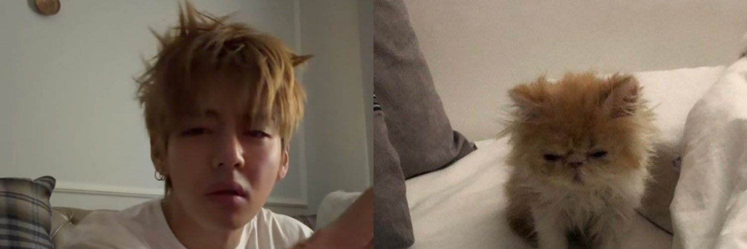 ANJSJJVJK08's profile banner image